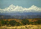 IMG_1251