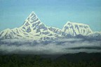 IMG_1260