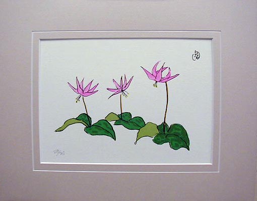 ☆坂本直行☆「ふくじゅ草」シルクスクリーン四ツ未使用！